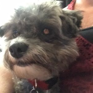 Meet your Posher, Salena